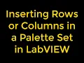 How to Insert Rows or Columns in a Palette Set in LabVIEW