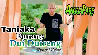 taniaka burane dui duireng cipt anti muhlis versi angga pare 