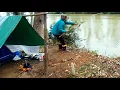 Download Lagu Acampamento raiz na barranca do rio PESCAMOS E FRITAMOS NA BEIRA DO RIO.
