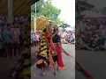 Jaranan TRI MURTI Segobang Licin - KUCINGAN NGAMUJ