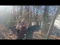 tire horse swing