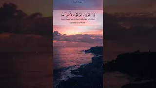 وقل اعملوا فسيرى الله عملكم فارس عباد  وقل اعملوا فسيرى الله عملكم فارس عباد