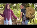 Download Lagu BOSS BESAR DARI KOTA NYAMAR JADI ORANG BIASA SIDAK KE RUMAH GADIS BULE YANG TINGGAL DI TENGAH HUTAN