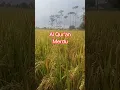 Download Lagu Listen | Hopefully useful #murrotal #quran #qurantilawat #shorts