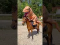Download Lagu T-REX and Tarzan😱 💥JUMPING💥 #shorts #horse #pony #trex