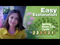 Spring Bean Life Cycle What are Spring Beans Spring Framework Tutorial for Beginner