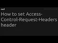 How to set Access-Control-Request-Headers header