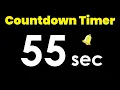 55 second Countdown Timer with Alarm