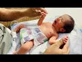 Download Lagu Adorable Baby Feeding in NICU | Full Nutrition \u0026 Fast Recovery👶💖🍼