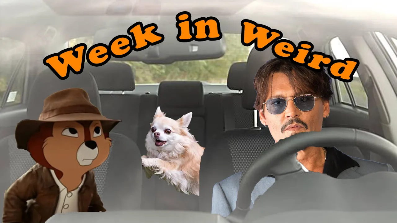 World's Oldest Dog, Johnny Depp's Hilarious Hearing, Twitch Switch Sports Shenanigans | WIW
