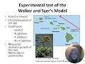 2025 Changing Nutrient Cycles