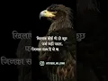 Download Lagu Viral video!\u0026🤬😡 Mere khilaf koi bhi mujhe koi fark nhi padta most attitude viral video🤬😹