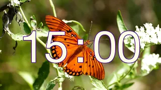 15 Minute Timer with Lofi Music Aesthetic Butterflies Deep Work Study Timer