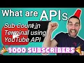 What are APIs YouTube API to get Subscriber Count
