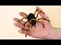 Make a Creepy Halloween Spider - Prank