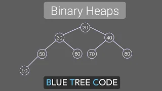Binary Heap - Insert Sift Up Delete Sift Down Heapify BuildHeap
