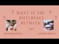 The Difference Between Microblading and Ombre Brow