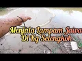 Download Lagu Menjala Lampam Jawa Campak Kena Campak Kena Dekat Setimba Hasil Sg Selengkoh s428