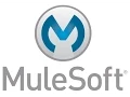 Mule agent installation