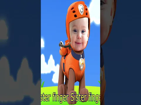 Little Babies Paw Patrol Finger Family Song Nursery Rhymes