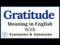 Gratitude meaning in English Gratitude definition Gratitude synonyms and antonyms