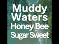 Who's Gonna Be Your Sweet Man