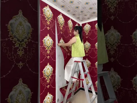 super Beautiful 3D wall paintings 😂😍👍  #shorts_video