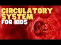 Download Lagu Circulatory System for Kids | Learn all about how blood travels through the body