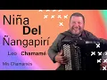 Download Lagu Niña del Ñangapirí | Chamamé Cover | Te recuerdo emocionado, Niña del Ñangapirí