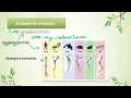 IB Biology A4 1 Evolution and speciation