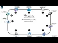 QA Valley - Engagement Model Evaluation QA Cycle