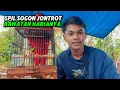 Download Lagu SPIL SOGON JONTROT DAN PERAWATANNYA