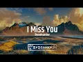 Download Lagu Basshunter - I Miss You (SaDzonKa Remix)
