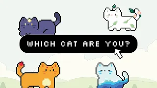 Cozy code with me coding a personality quiz website html css javascript