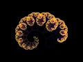 Pythagoras Tree Animation