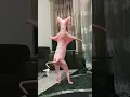 Download Lagu Cat Dancing Bara Bara Bara#shorts