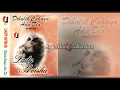 Download Lagu Dibalik Cahaya Ada Dia ( Album ) - Lady Avisha 