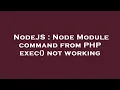 NodeJS Node Module command from PHP exec not working