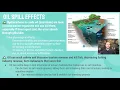 AP Environmental Science 8 2 pt 2 - Oil Spills