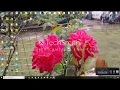 How to post cityxguide in bangla tutorial 2018