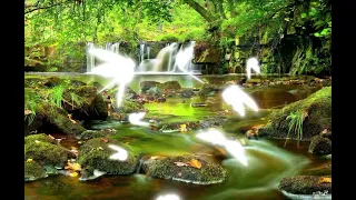 تلاوه نادره ورائعه للشيخ طه الصفطي   سورة ق دندنها