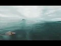 Surfing Indicator beach Rincon PR