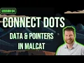 Navigating the Binary Data vs Pointers Strings Imports Lesson 4