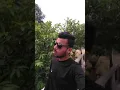 Download Lagu mere khwabon mein tu meri saanson mein tu cover music ringtone video