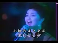 几多愁梅花-邓丽君 teresa teng