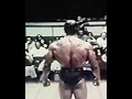 Arnold ’s Best Back Workouts Ever