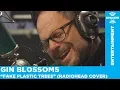 Download Lagu Gin Blossoms Perform \