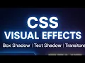 Day 11 - CSS Visual Effects Execution Box Shadow Text Shadow Transitions