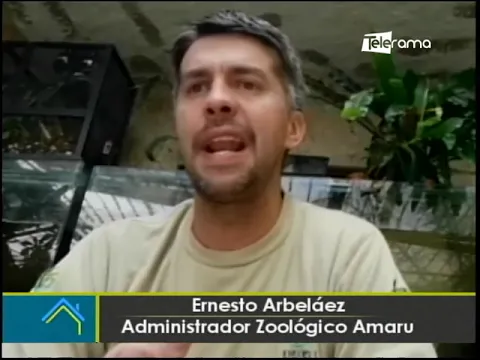 4 de octubre día mundial de los animales