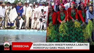 Oromoon Irreecha Wayta Kabaju Karaa Duudhaafi Sirnasaa Eegeen Ta Uu Akka Qabu Manguddonni Dhaaman  Oromoon Irreecha Wayta Kabaju Karaa Duudhaafi Sirnasaa Eegeen Ta Uu Akka Qabu Manguddonni Dhaaman